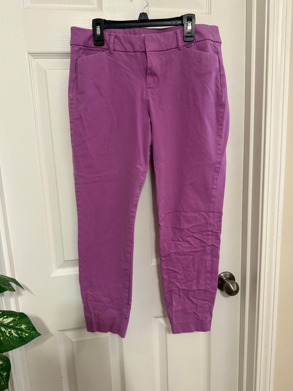 Old Navy Pixie Ankle Pants in Purple